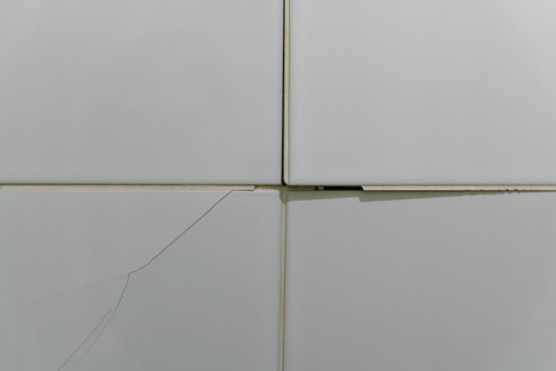 Cracked Tile Repair detail